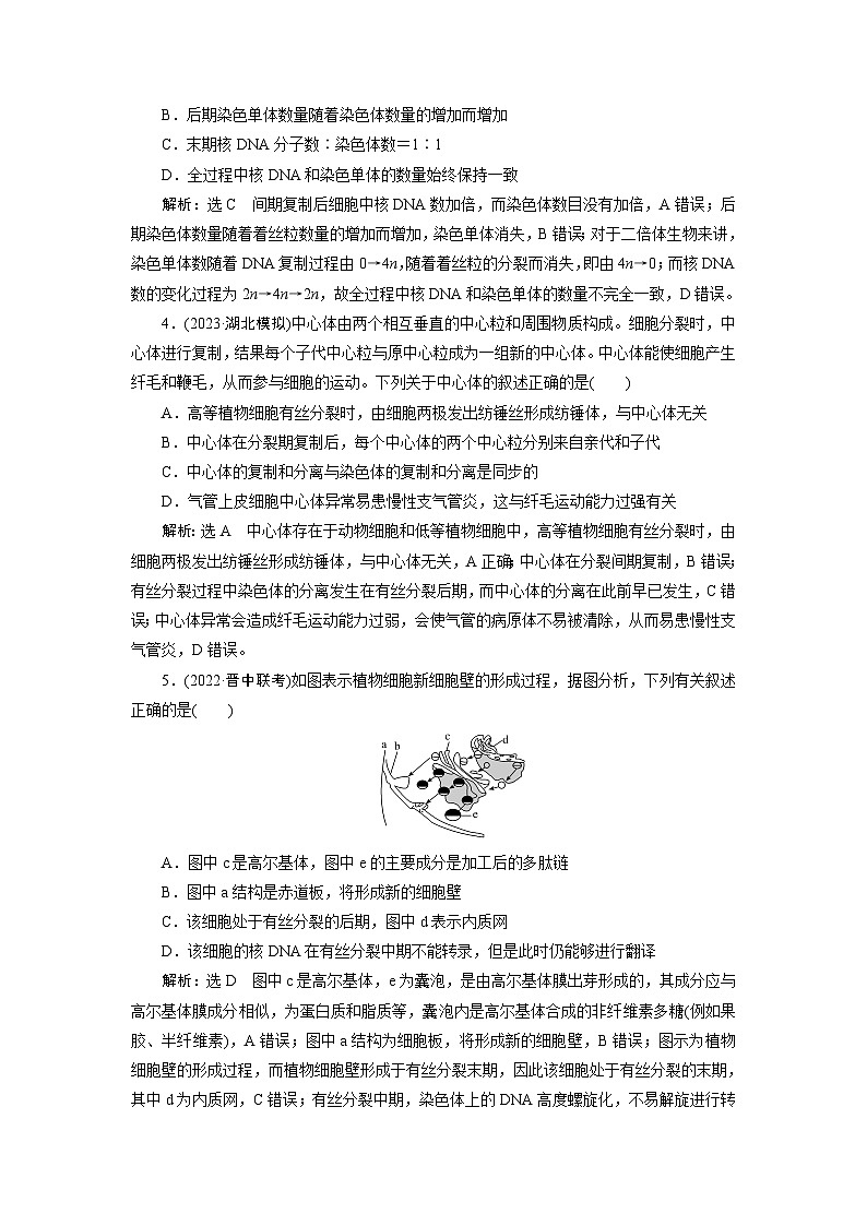 2024届人教版高考生物一轮复习细胞的增殖作业（单项版）含答案第2页