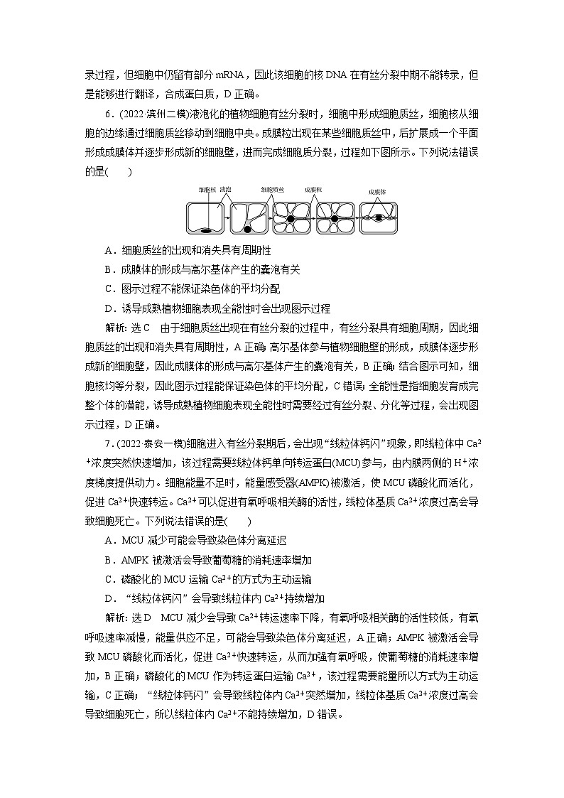 2024届人教版高考生物一轮复习细胞的增殖作业（单项版）含答案第3页