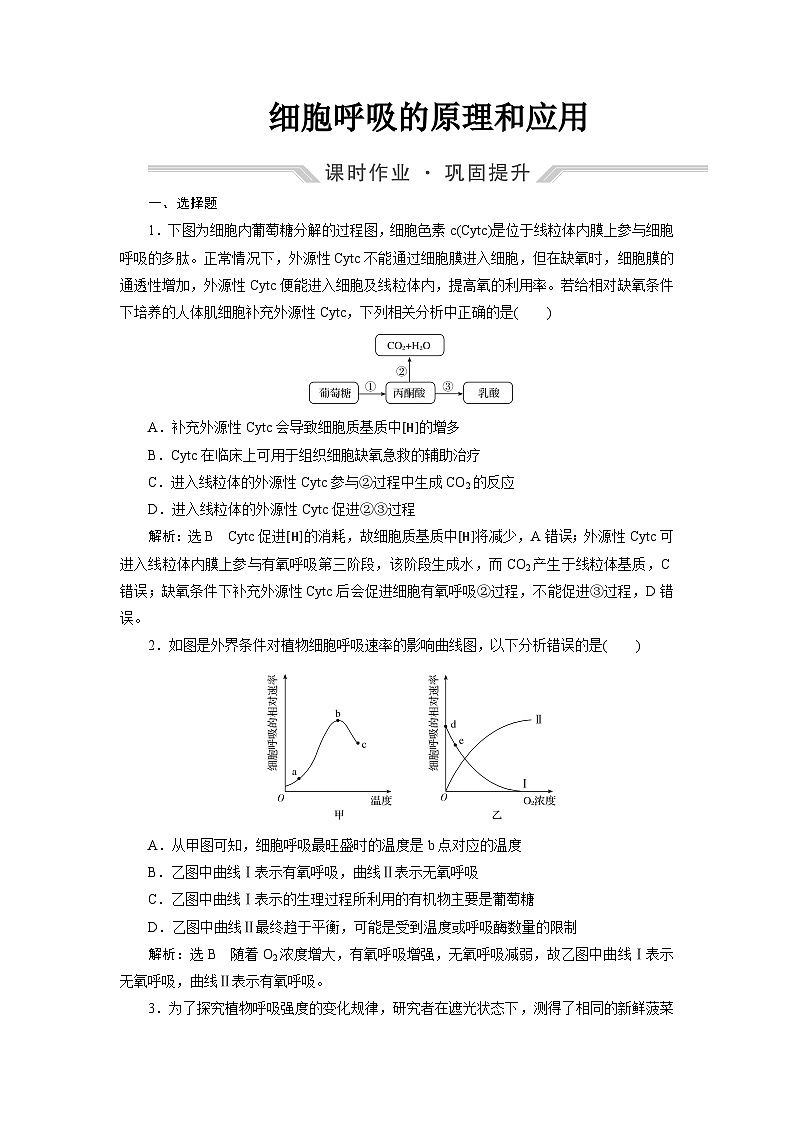 2024届人教版高考生物一轮复习细胞呼吸的原理和应用作业（单项版）含答案第1页