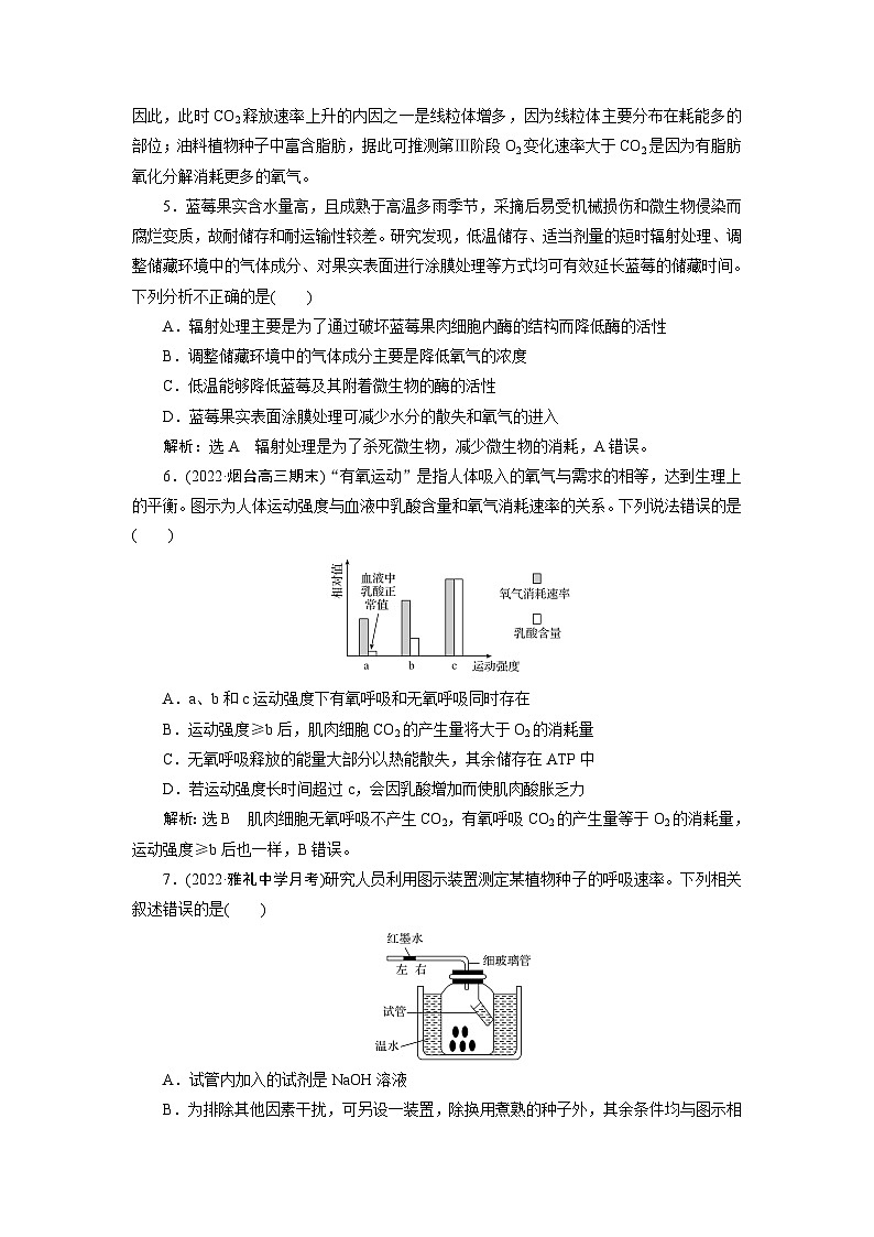 2024届人教版高考生物一轮复习细胞呼吸的原理和应用作业（单项版）含答案第3页