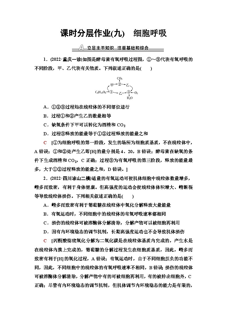 2024届人教版高考生物一轮复习细胞呼吸作业（单项版）含答案第1页