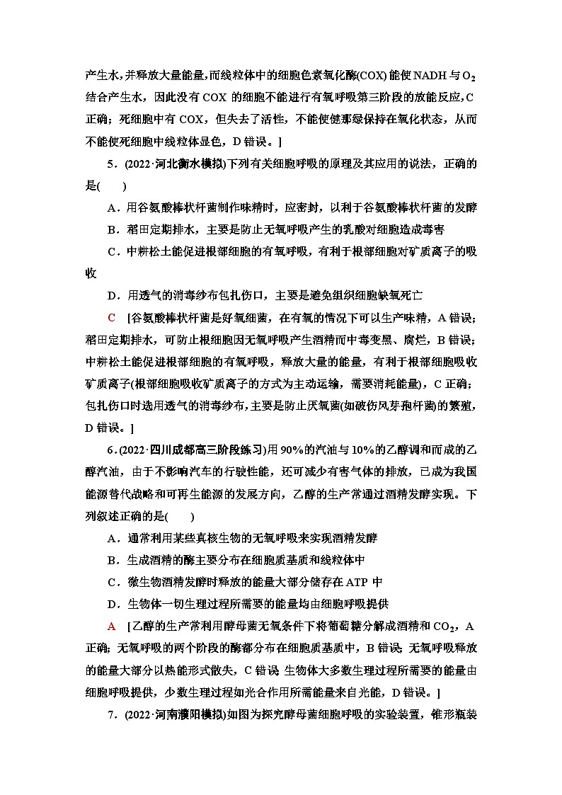 2024届人教版高考生物一轮复习细胞呼吸作业（单项版）含答案第3页