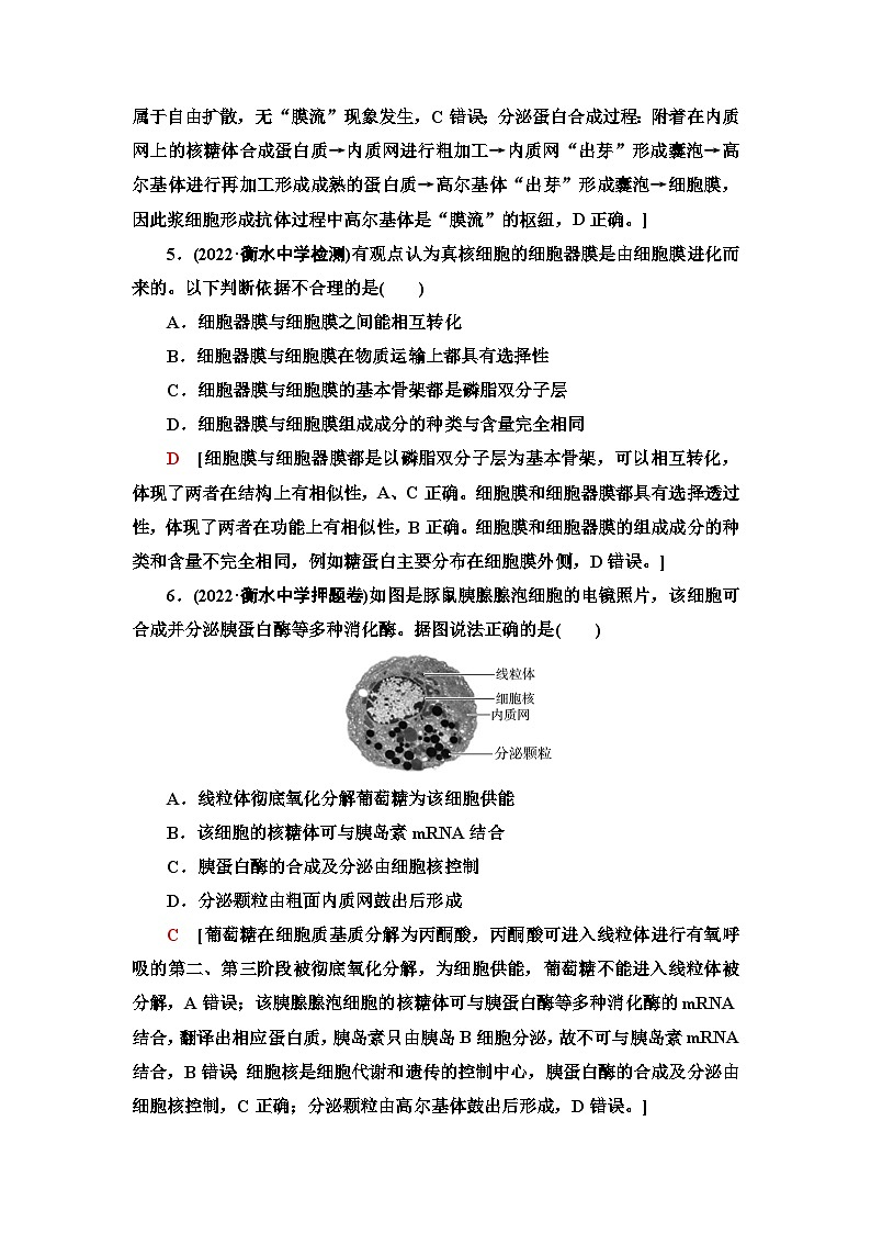 2024届人教版高考生物一轮复习细胞器——系统内的分工合作作业（单项版）含答案第3页