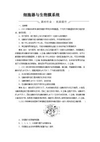 2024届人教版高考生物一轮复习细胞器与生物膜系统作业（单项版）含答案