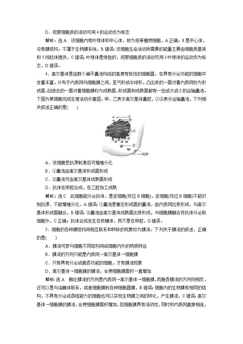 2024届人教版高考生物一轮复习细胞器与生物膜系统作业（单项版）含答案第2页