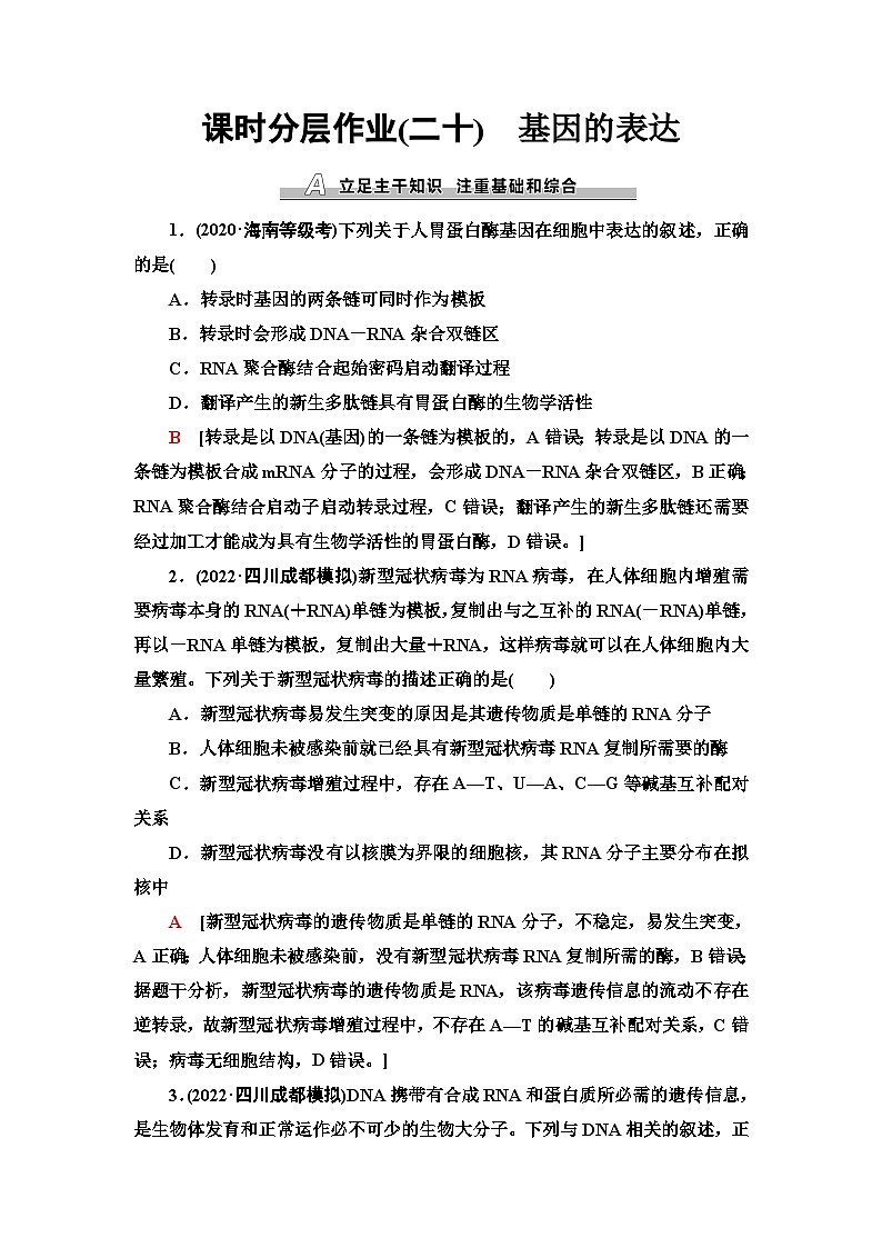 2024届人教版高考生物一轮复习基因的表达作业（单项版）含答案第1页