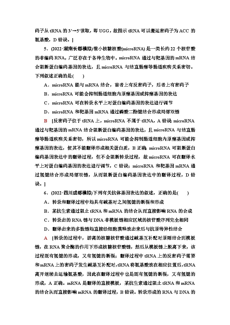 2024届人教版高考生物一轮复习基因的表达作业（单项版）含答案第3页