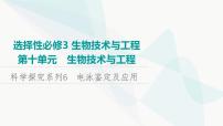 2024届苏教版高考生物一轮复习科学探究系列6电泳鉴定及应用课件