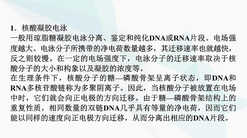 2024届苏教版高考生物一轮复习科学探究系列6电泳鉴定及应用课件第3页