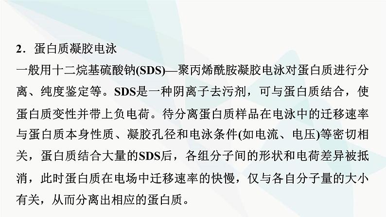 2024届苏教版高考生物一轮复习科学探究系列6电泳鉴定及应用课件第4页