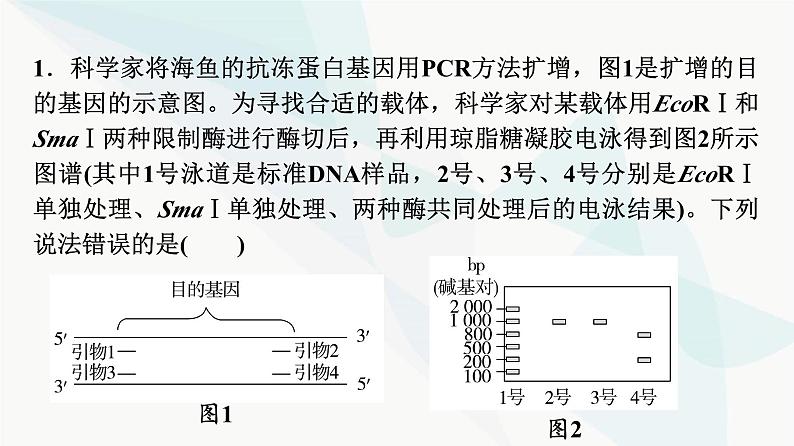 2024届苏教版高考生物一轮复习科学探究系列6电泳鉴定及应用课件第6页