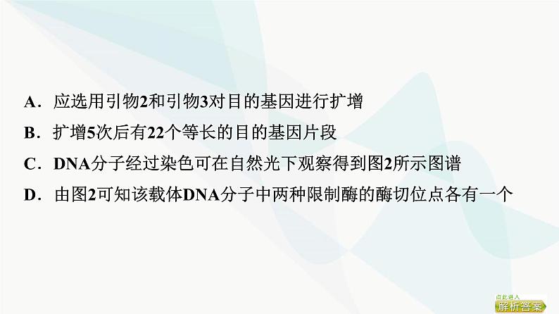 2024届苏教版高考生物一轮复习科学探究系列6电泳鉴定及应用课件第7页