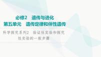 2024届人教版高考生物一轮复习科学探究系列2验证性实验和探究性实验的一般步骤课件