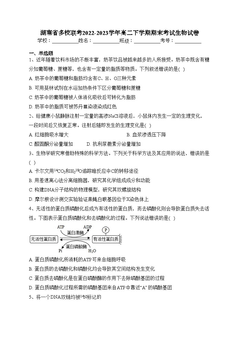 湖南省多校联考2022-2023学年高二下学期期末考试生物试卷（含答案）第1页