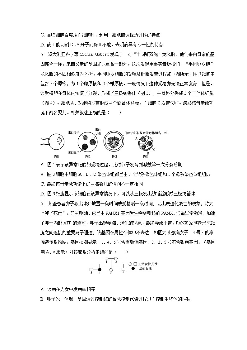 2023年山东省泰安市肥城市高考生物适应性试卷（一）（含解析）第3页
