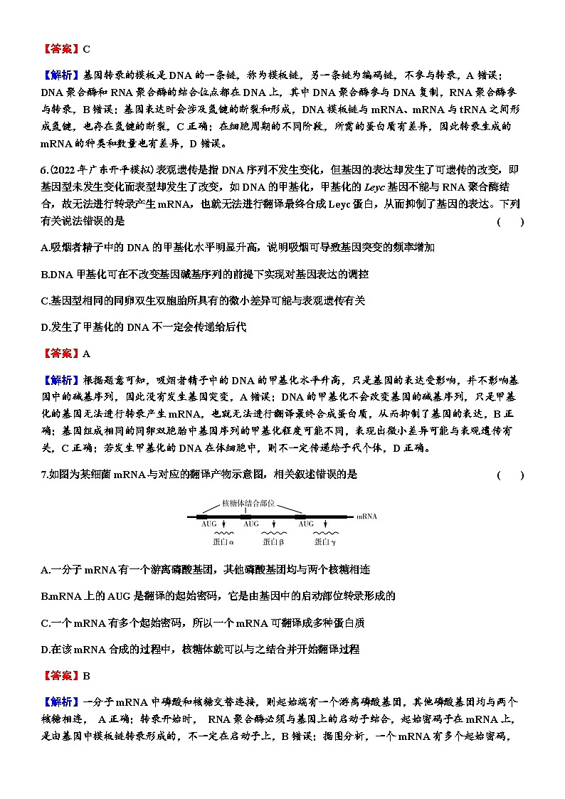 2024届人教版高考生物一轮复习基因的表达作业含答案第3页