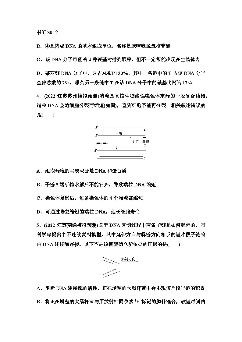 2024届苏教版高考生物一轮复习DNA分子的结构和复制作业含答案02