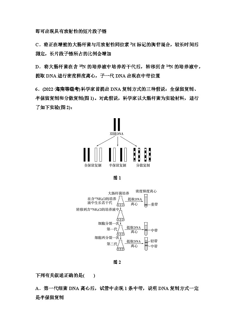 2024届苏教版高考生物一轮复习DNA分子的结构和复制作业含答案03