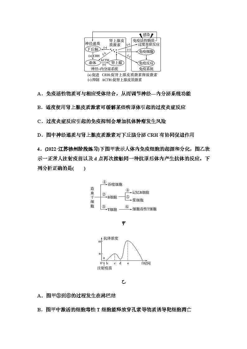 2024届苏教版高考生物一轮复习人体的免疫调节与稳态作业含答案第2页