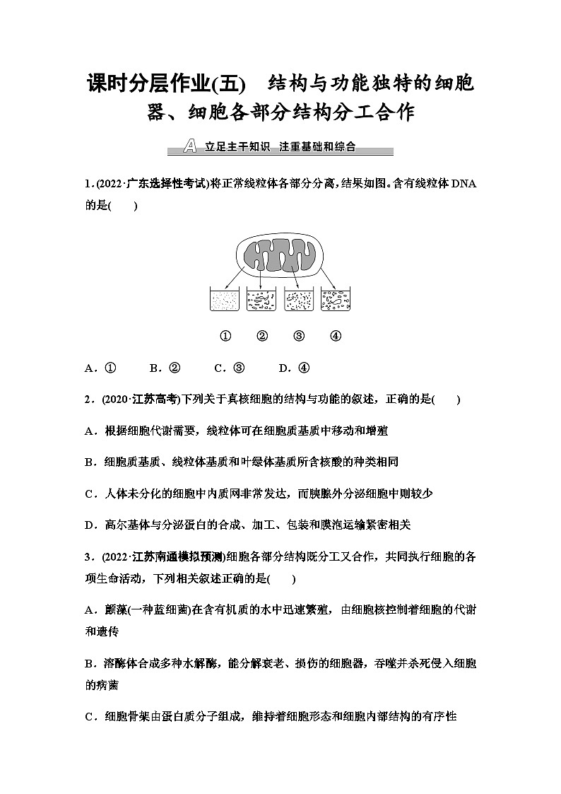 2024届苏教版高考生物一轮复习结构与功能独特的细胞器、细胞各部分结构分工合作作业含答案01