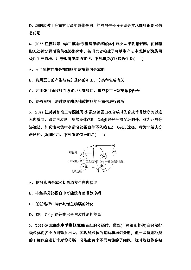 2024届苏教版高考生物一轮复习结构与功能独特的细胞器、细胞各部分结构分工合作作业含答案02