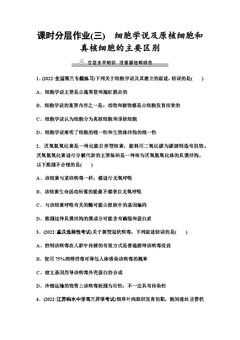 2024届苏教版高考生物一轮复习细胞学说及原核细胞和真核细胞的主要区别作业含答案第1页