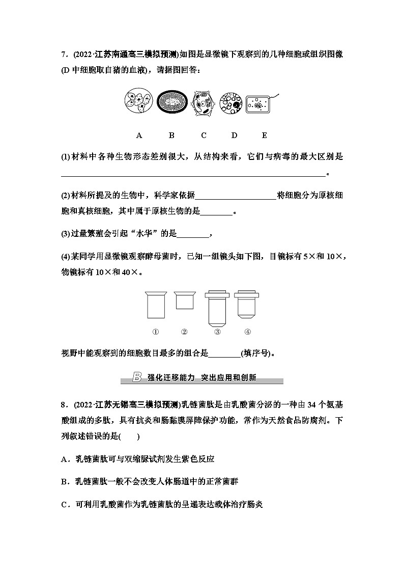 2024届苏教版高考生物一轮复习细胞学说及原核细胞和真核细胞的主要区别作业含答案第3页