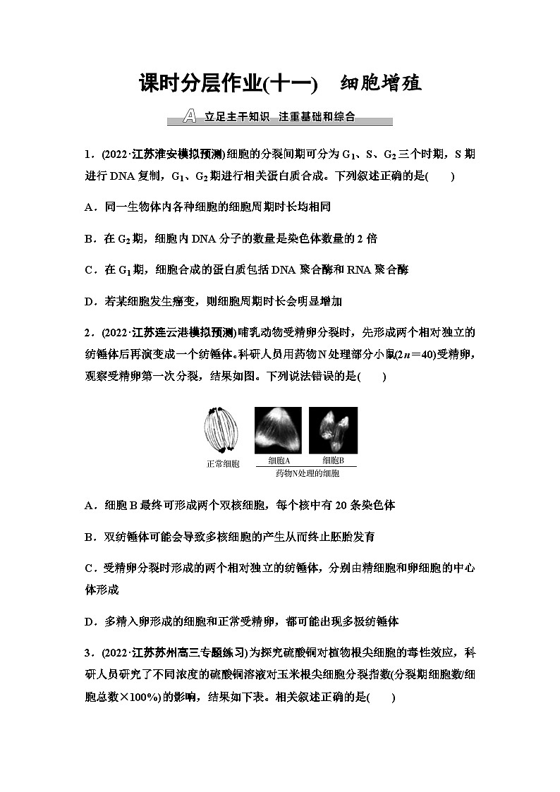 2024届苏教版高考生物一轮复习细胞增殖作业含答案01