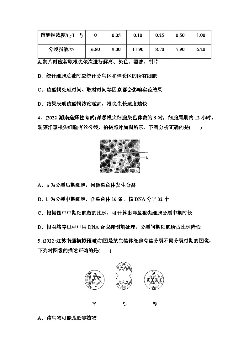 2024届苏教版高考生物一轮复习细胞增殖作业含答案02