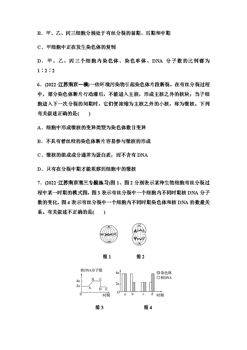2024届苏教版高考生物一轮复习细胞增殖作业含答案03
