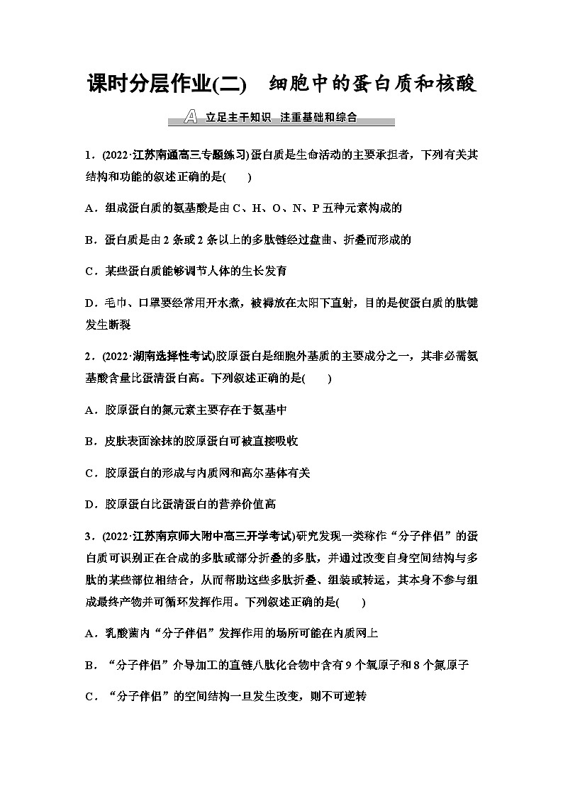 2024届苏教版高考生物一轮复习细胞中的蛋白质和核酸作业含答案第1页