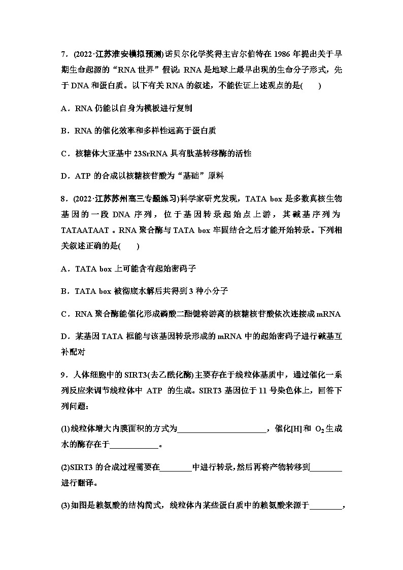 2024届苏教版高考生物一轮复习细胞中的蛋白质和核酸作业含答案第3页