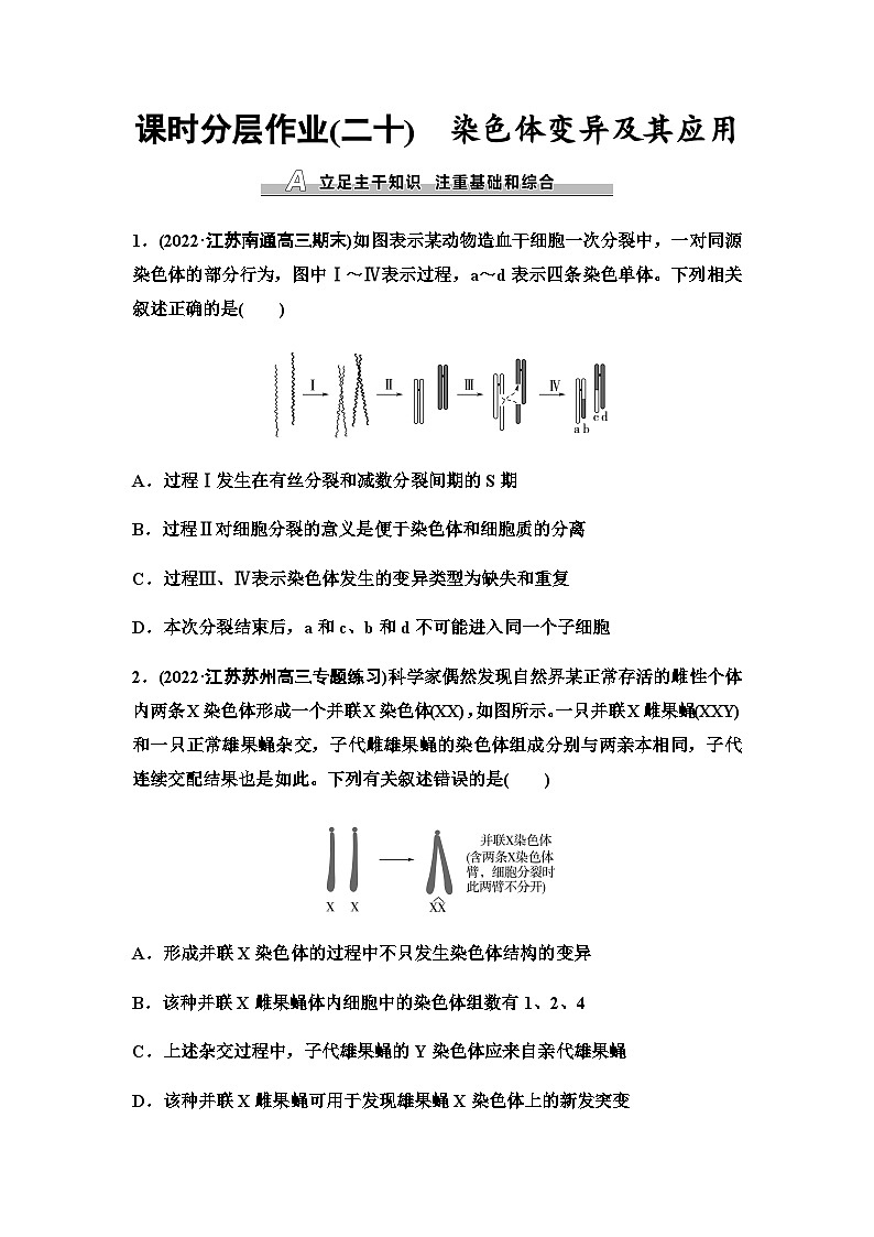 2024届苏教版高考生物一轮复习染色体变异及其应用作业含答案第1页