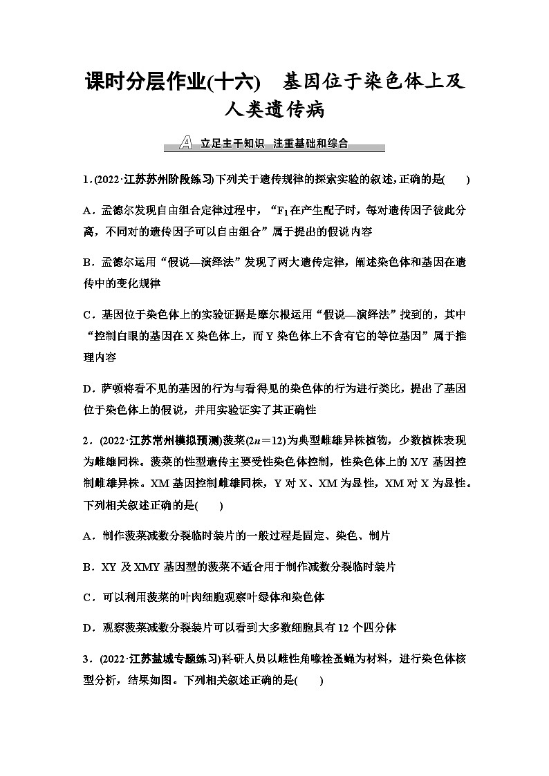 2024届苏教版高考生物一轮复习基因位于染色体上及人类遗传病作业含答案第1页