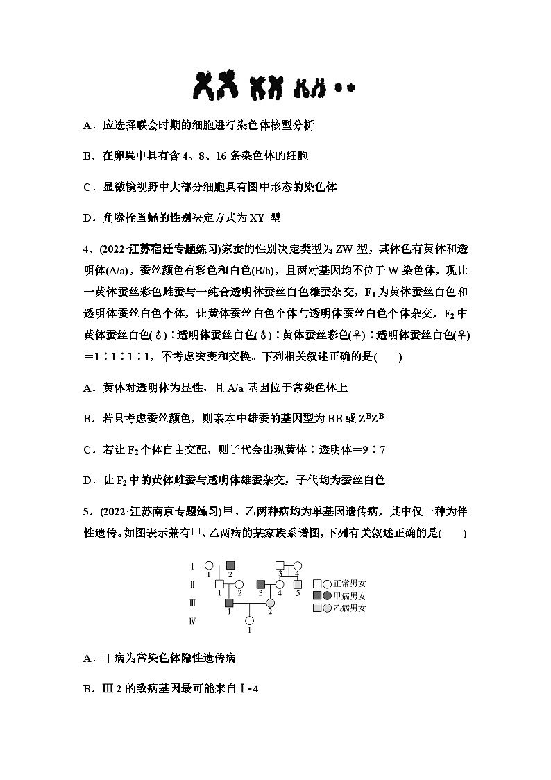 2024届苏教版高考生物一轮复习基因位于染色体上及人类遗传病作业含答案第2页