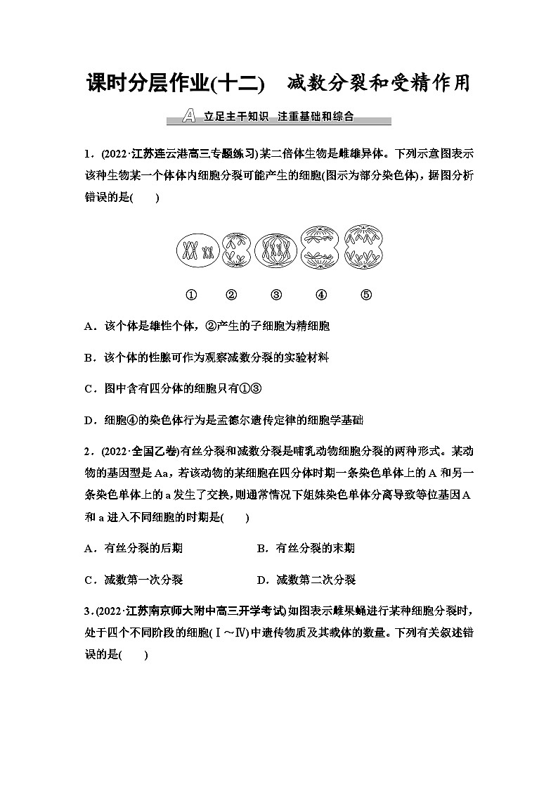 2024届苏教版高考生物一轮复习减数分裂和受精作用作业含答案第1页