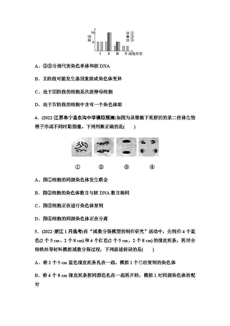 2024届苏教版高考生物一轮复习减数分裂和受精作用作业含答案第2页