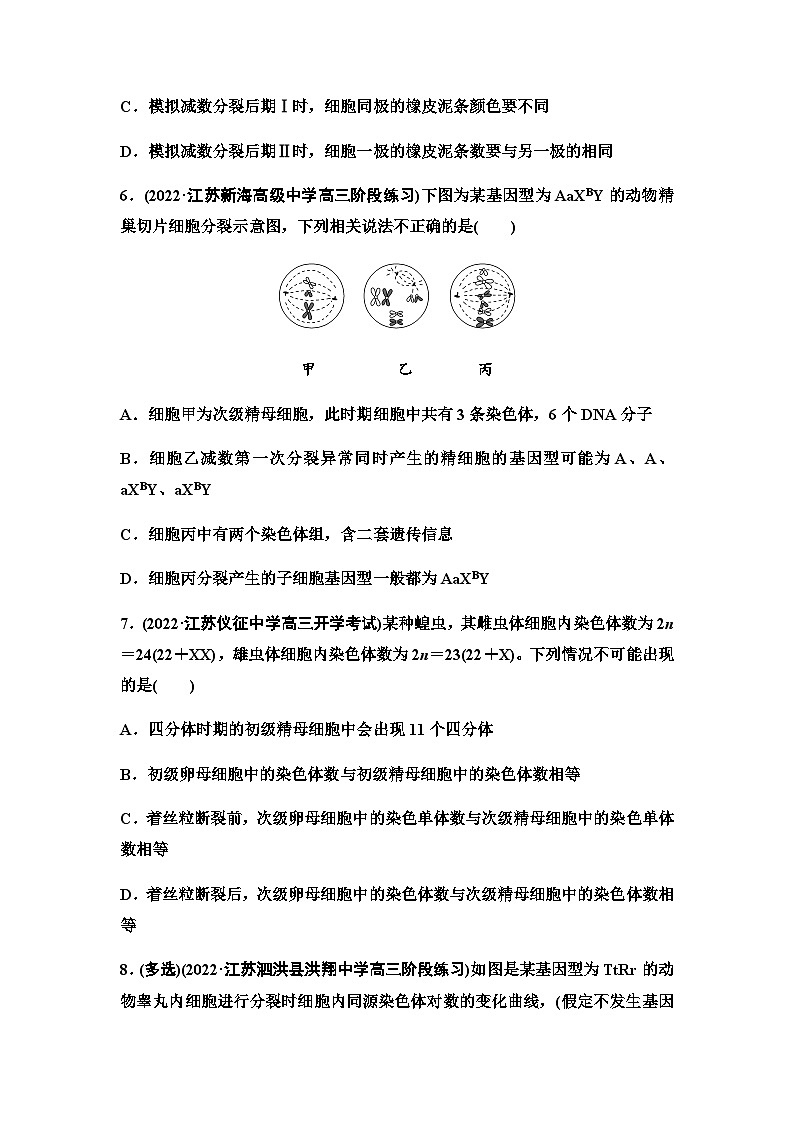 2024届苏教版高考生物一轮复习减数分裂和受精作用作业含答案第3页