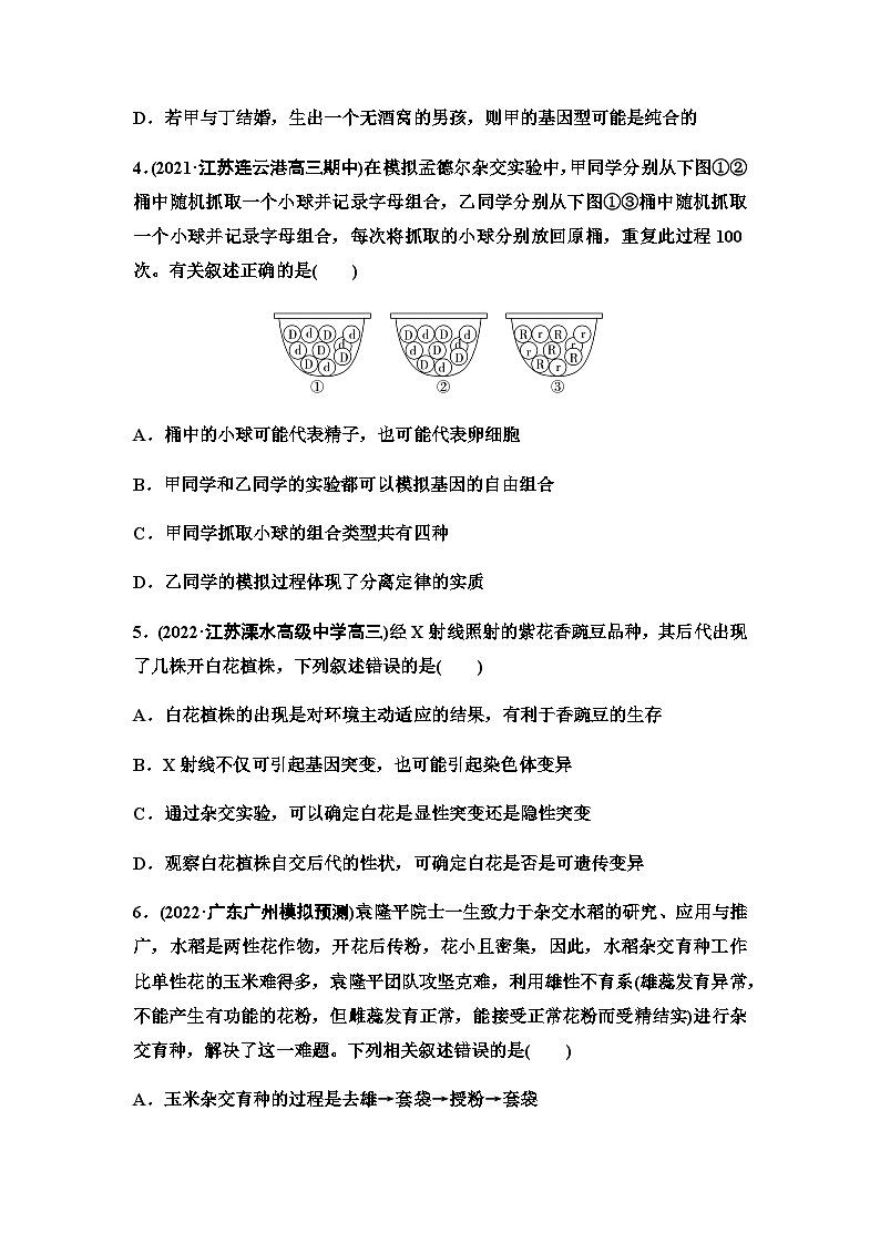2024届苏教版高考生物一轮复习分离定律作业含答案第2页