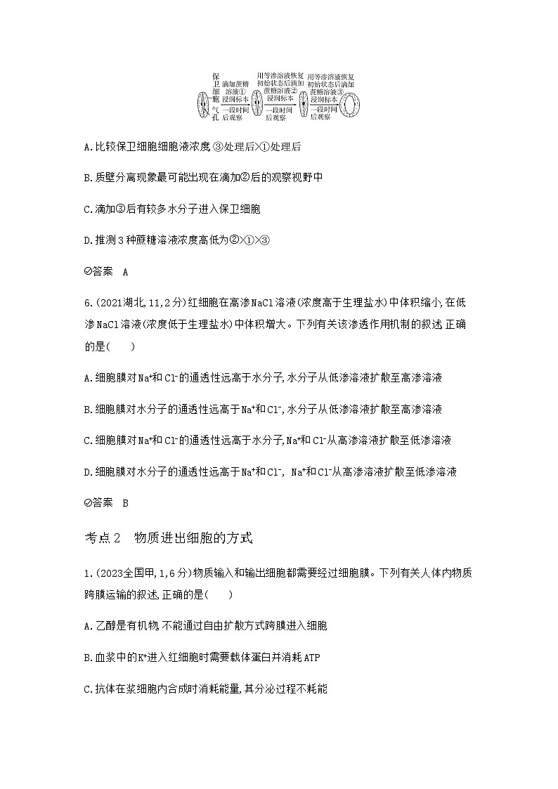 2024届人教版高考生物一轮复习细胞的物质输入和输出作业含答案第3页