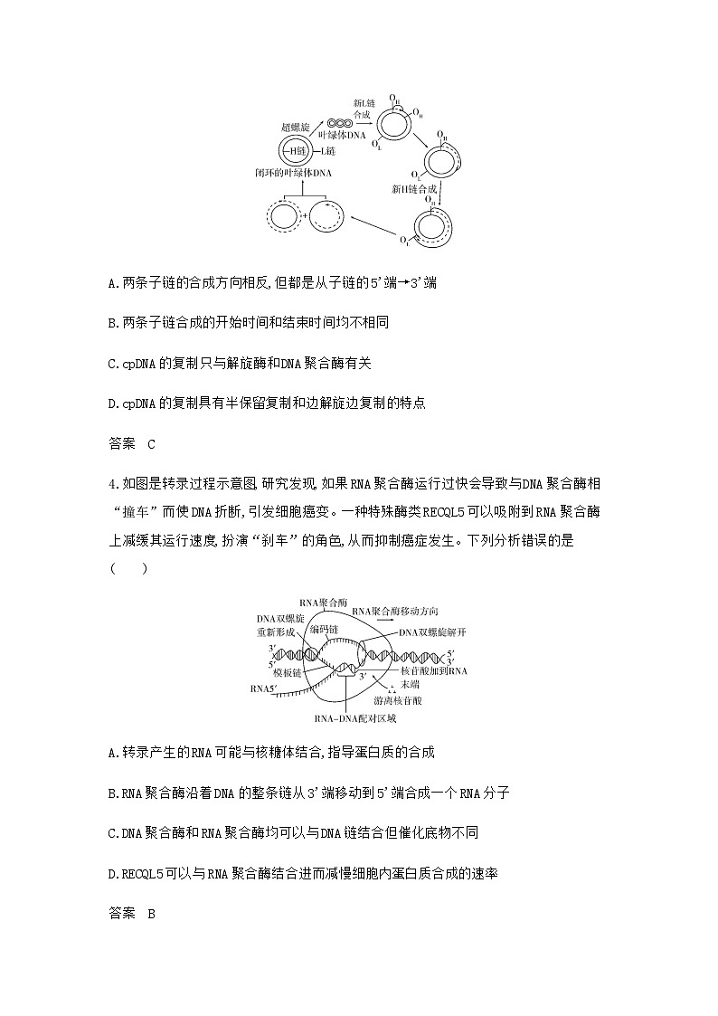 2024届人教版高考生物一轮复习遗传的分子基础作业含答案02