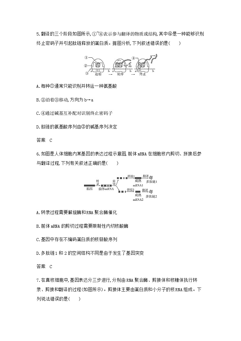 2024届人教版高考生物一轮复习遗传的分子基础作业含答案03