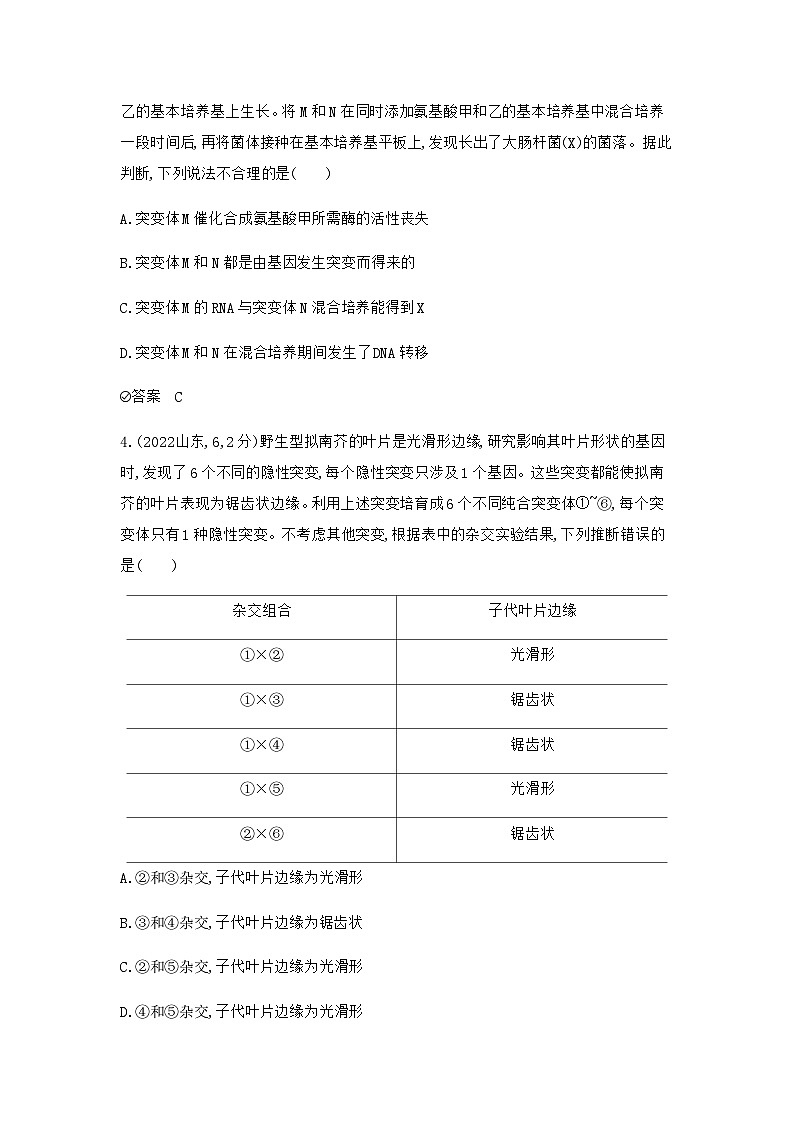 2024届高考生物一轮复习人教版生物的变异与育种作业含答案02