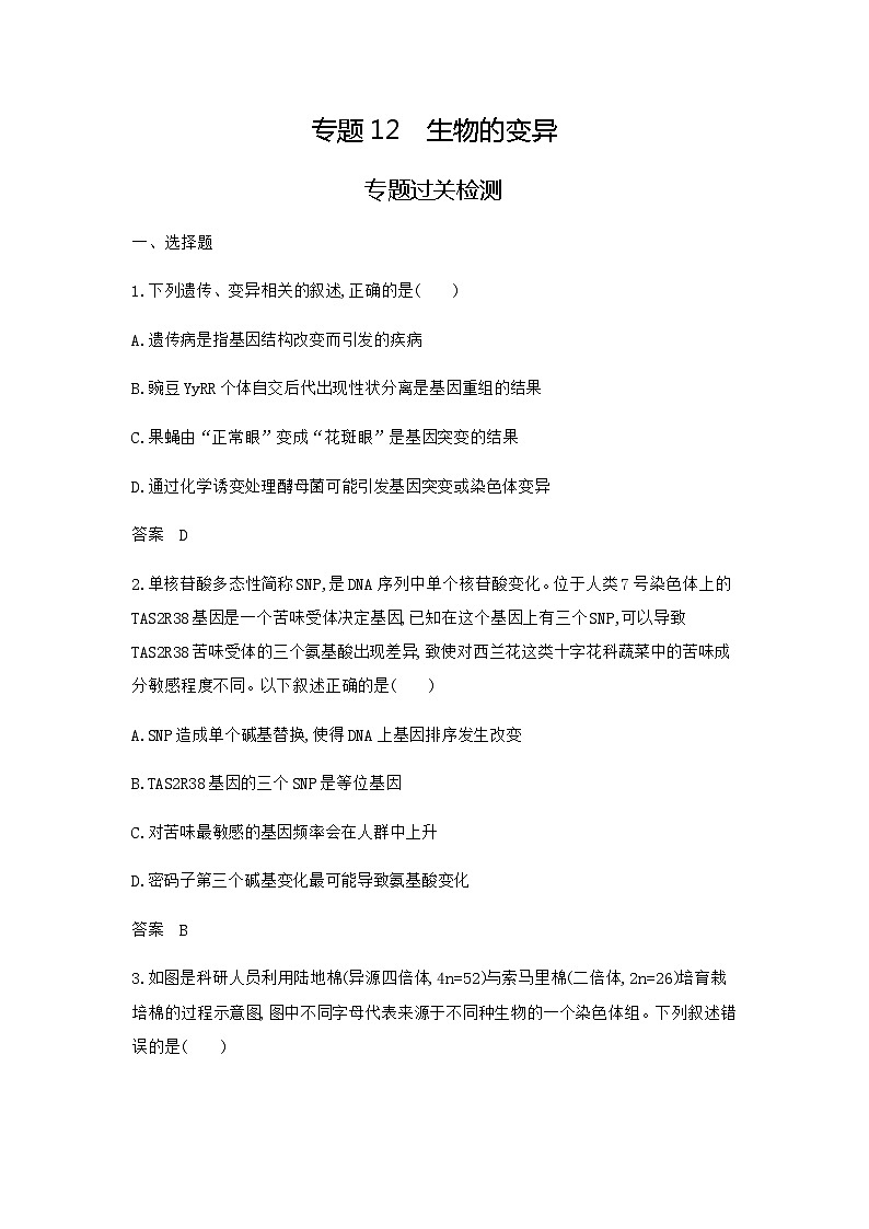 2024届人教版高考生物一轮复习生物的变异与育种作业含答案01