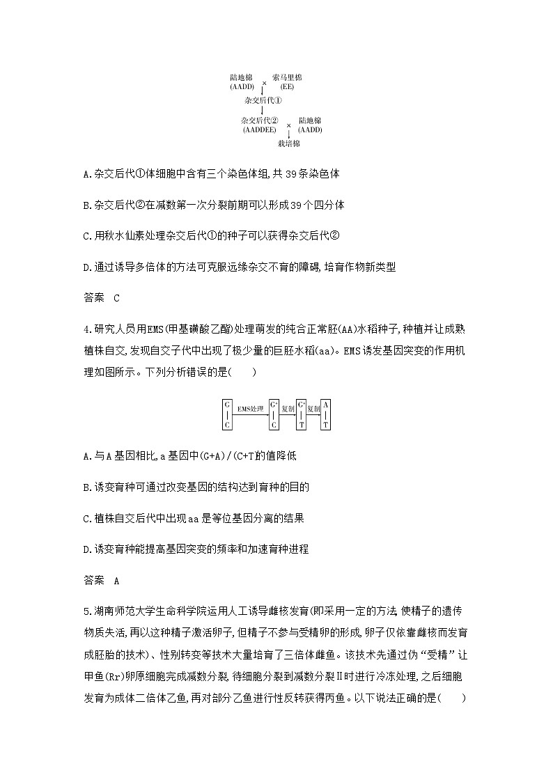 2024届人教版高考生物一轮复习生物的变异与育种作业含答案02