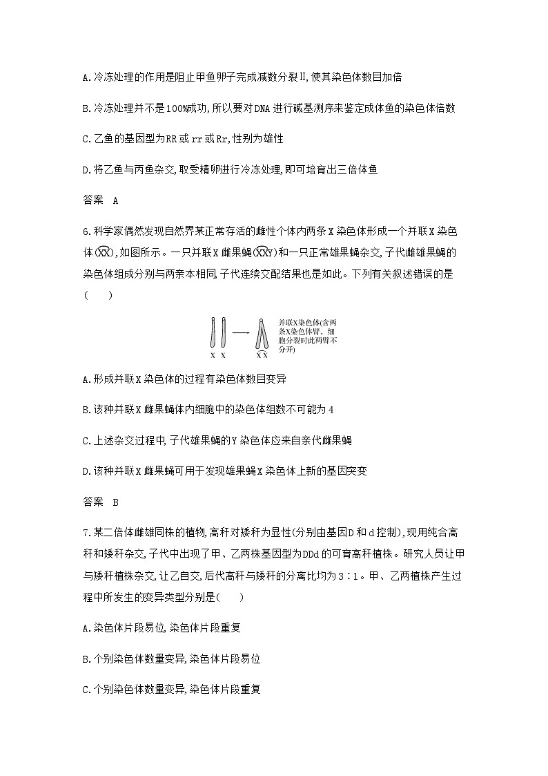 2024届人教版高考生物一轮复习生物的变异与育种作业含答案03