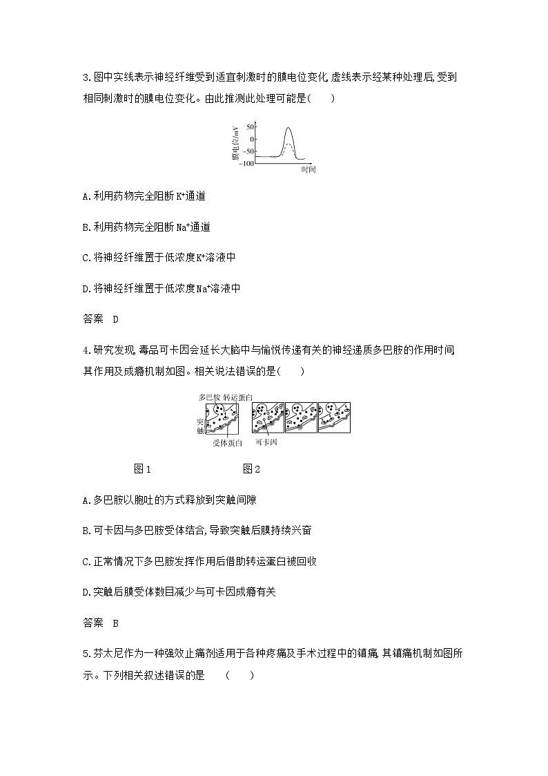 2024届人教版高考生物一轮复习神经调节作业含答案第2页