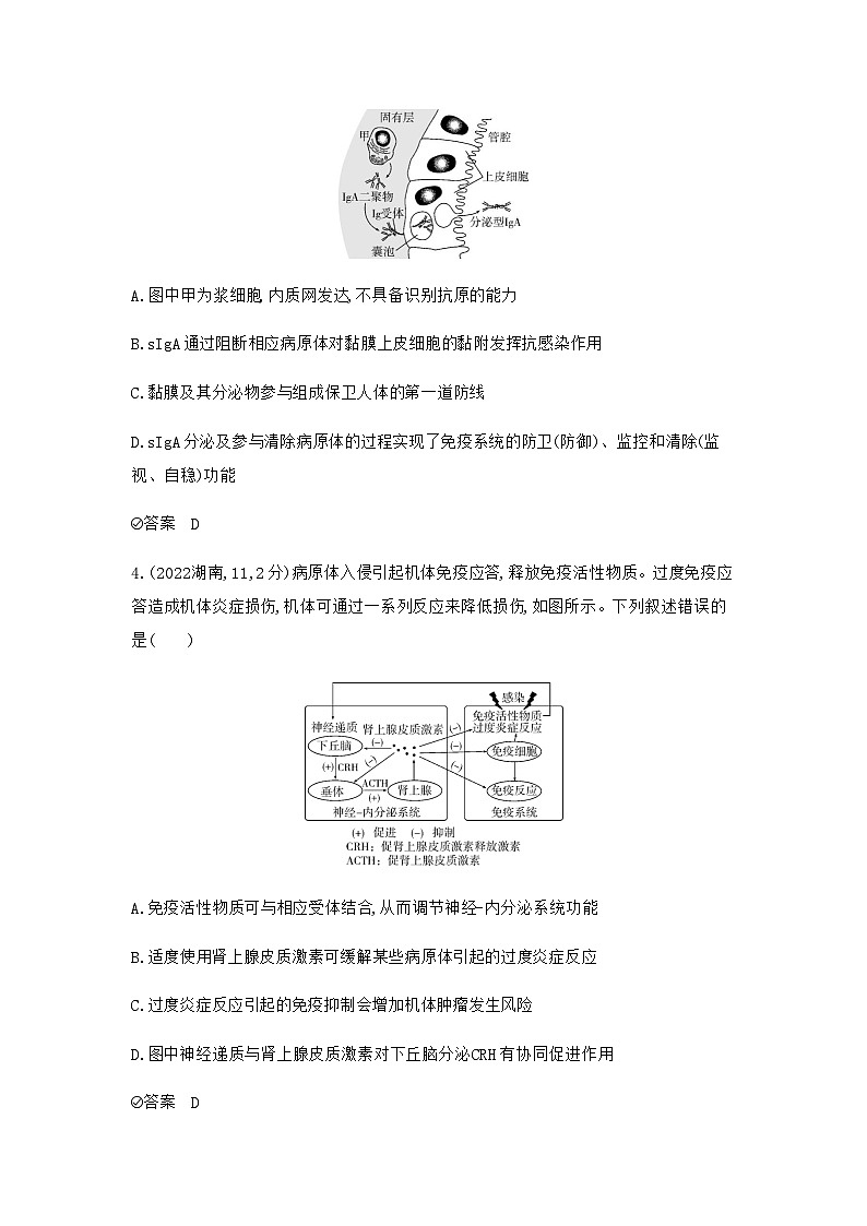 2024届人教版高考生物一轮复习免疫调节作业含答案第2页