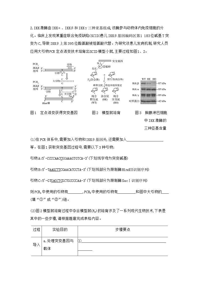 2024届人教版高考生物一轮复习基因工程作业含答案第3页