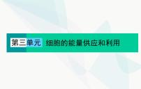 2024届人教版高考生物一轮复习素养提升课01细胞呼吸与光合综合分析课件（单选版）